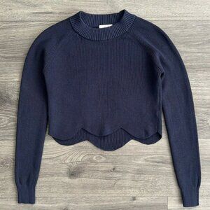 Aritzia WILFRED Spring Sweater XS Navy Ribbed Knit